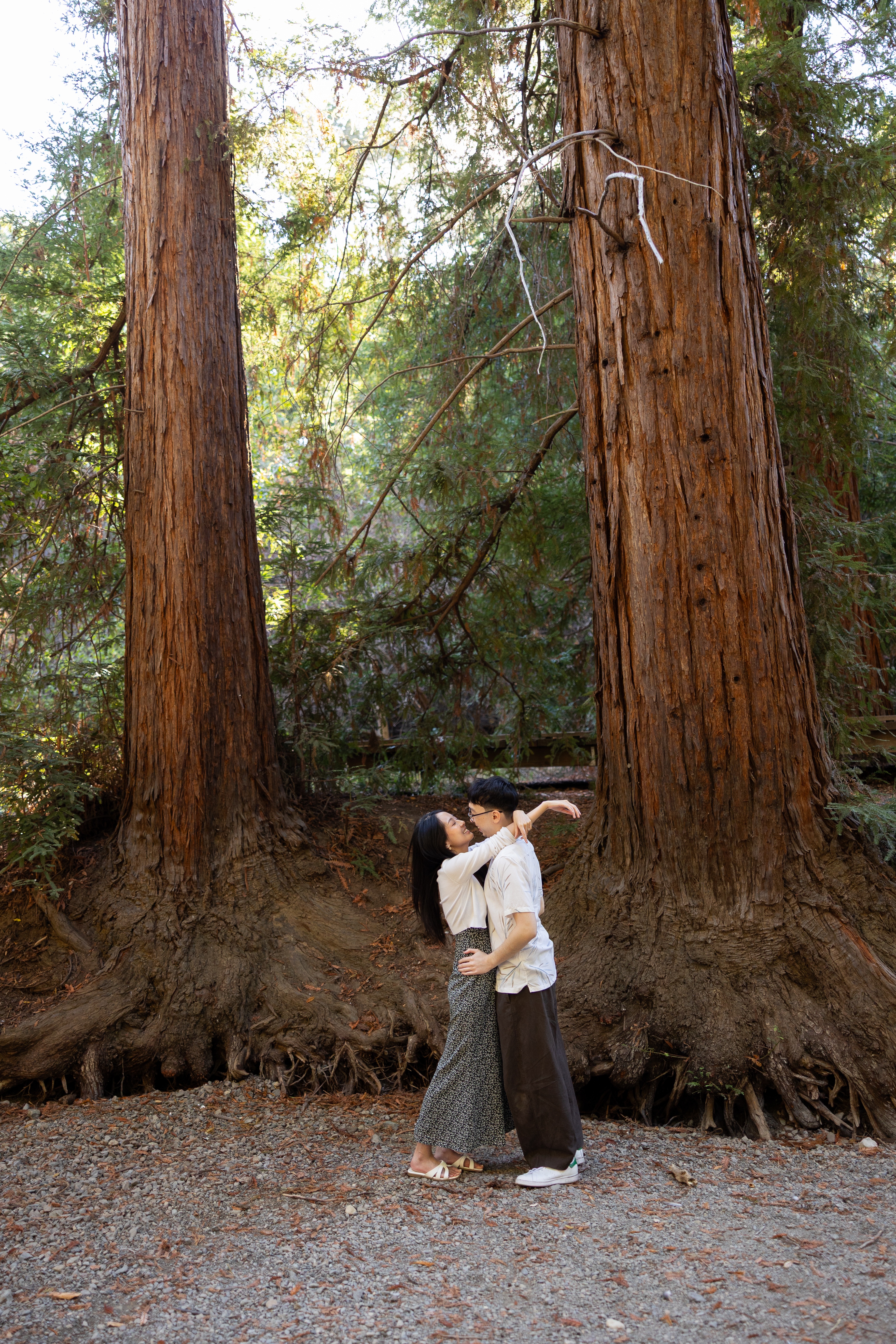 A couple enjoying a redwoods photoshoot