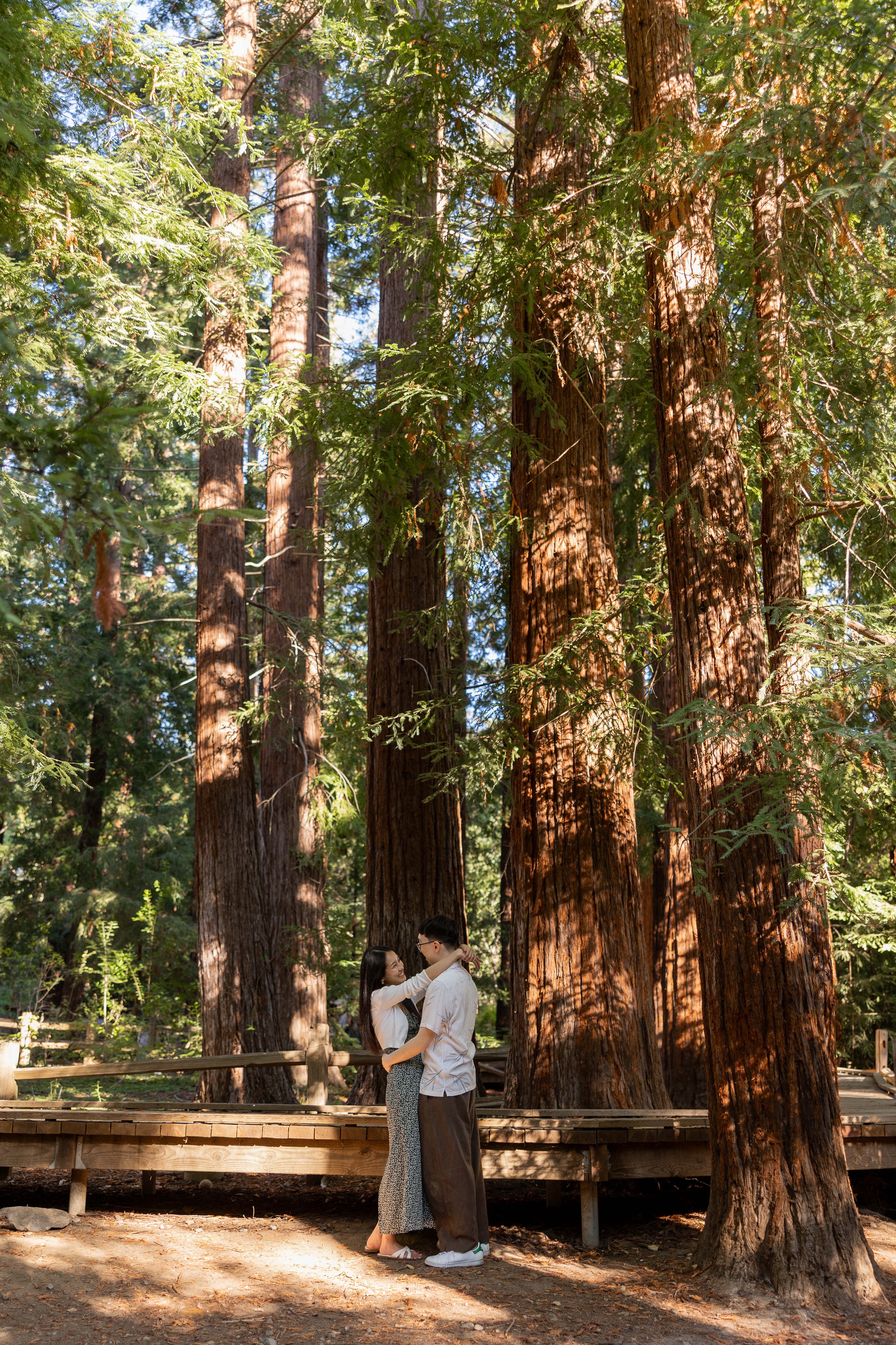 A couple enjoying a redwoods photoshoot