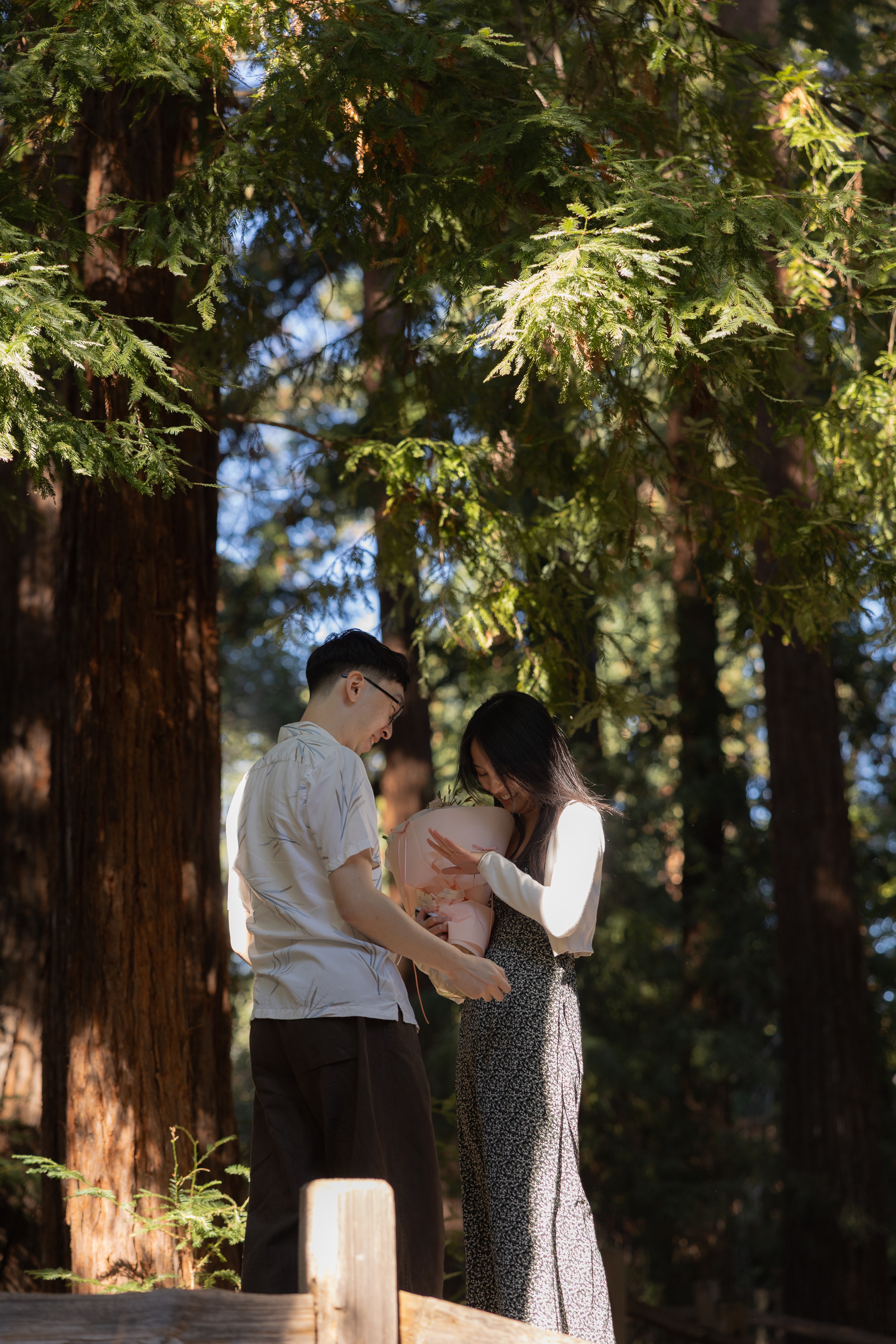 A couple enjoying a redwoods photoshoot