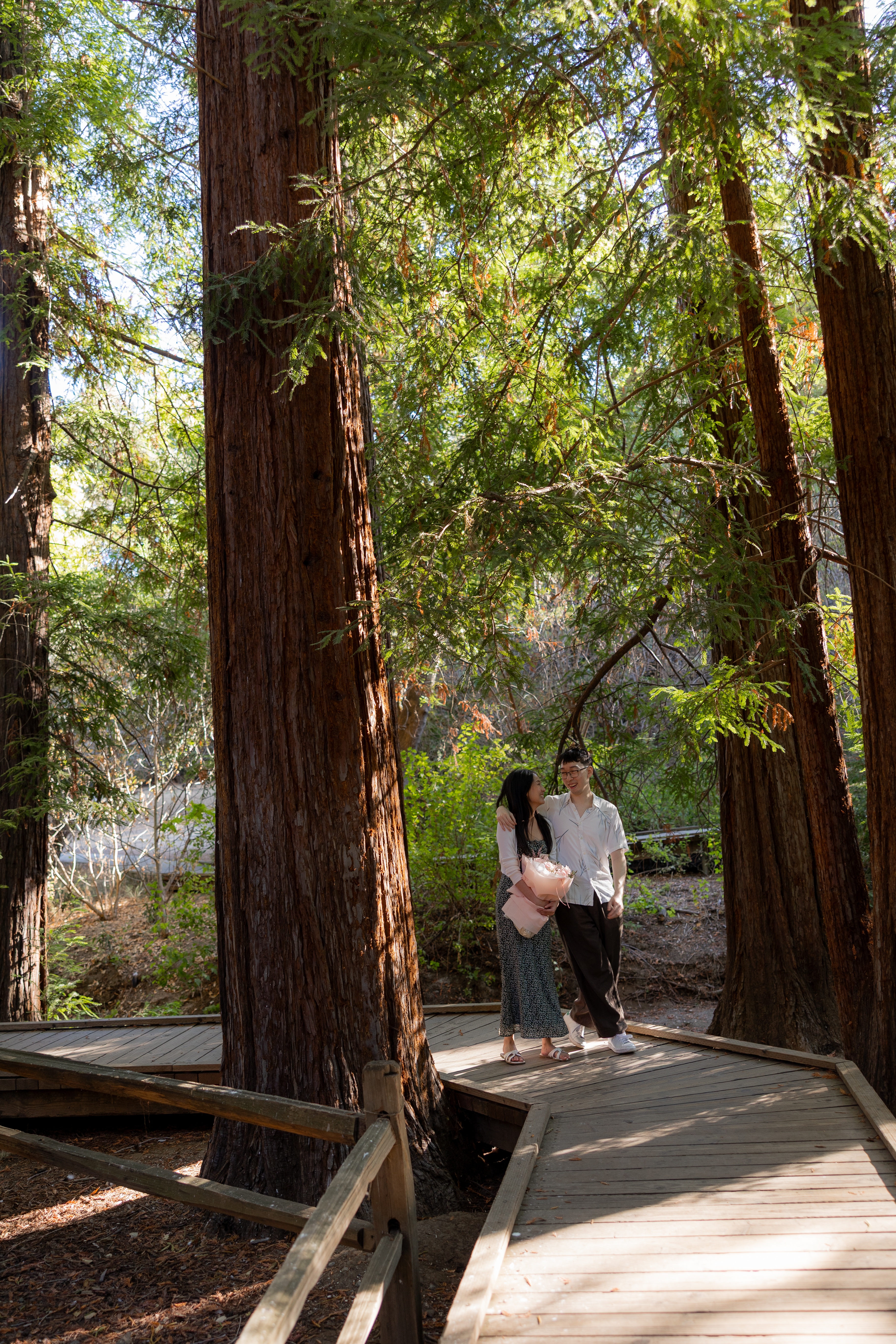 A couple enjoying a redwoods photoshoot
