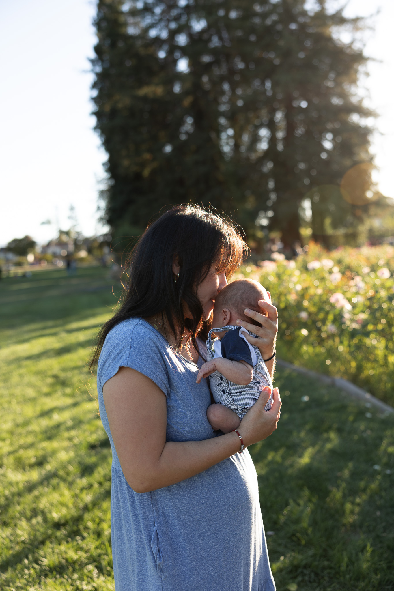 A family photo session at the Rose Gardens in San Jose