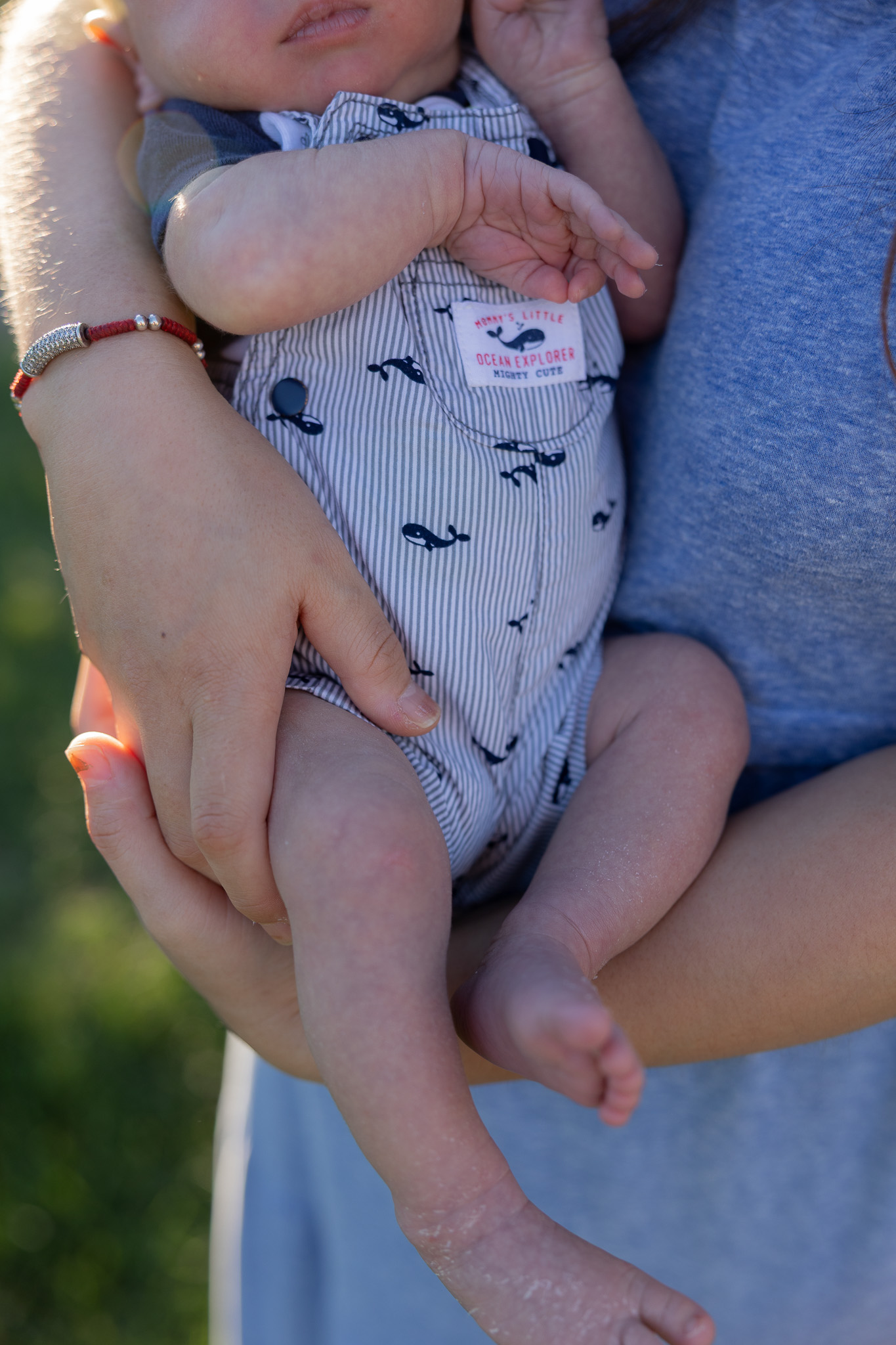 A family photo session at the Rose Gardens in San Jose