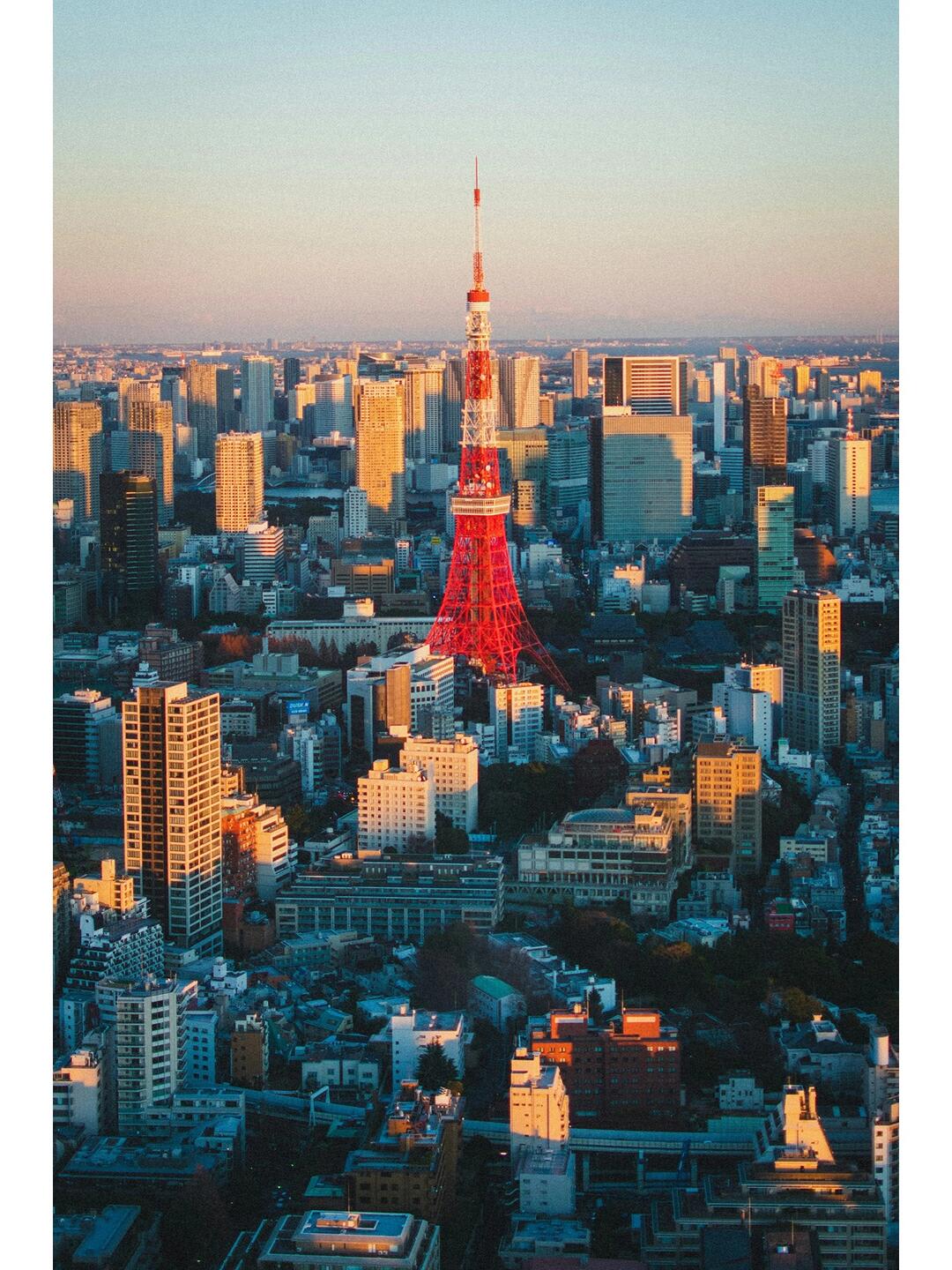 Tokyo Adventure