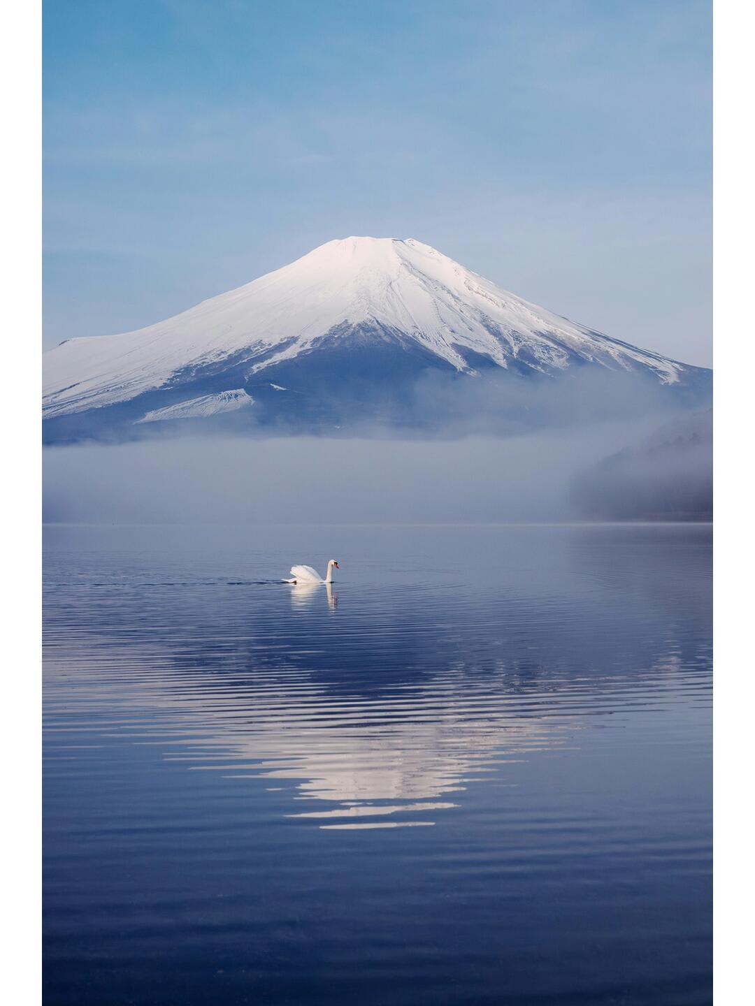 Japan Adventure: Explore Tokyo, Fuji Mountain, and the Beach - Image Gallery photo 1