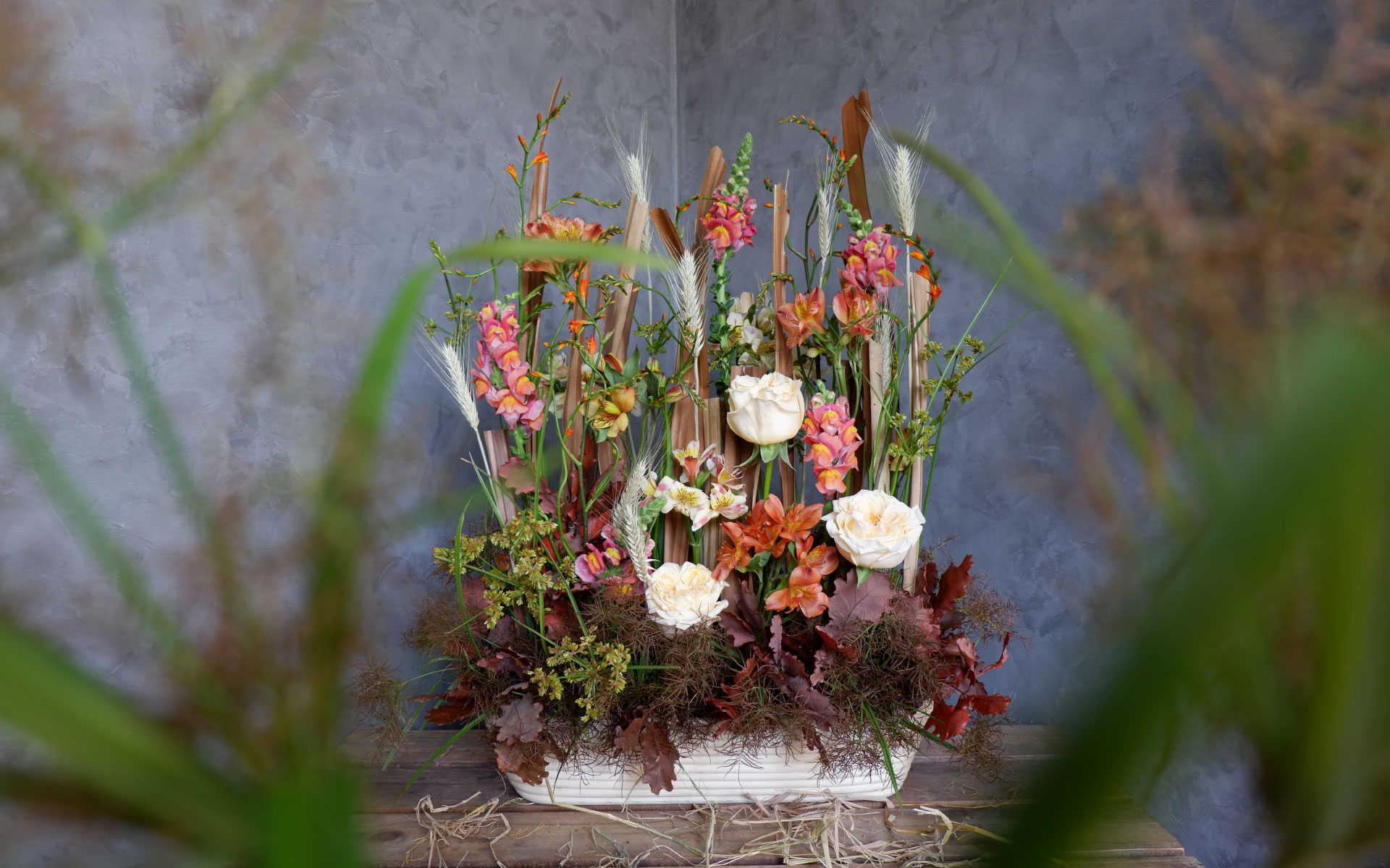 FALL GARDEN - KHU VƯỜN THU