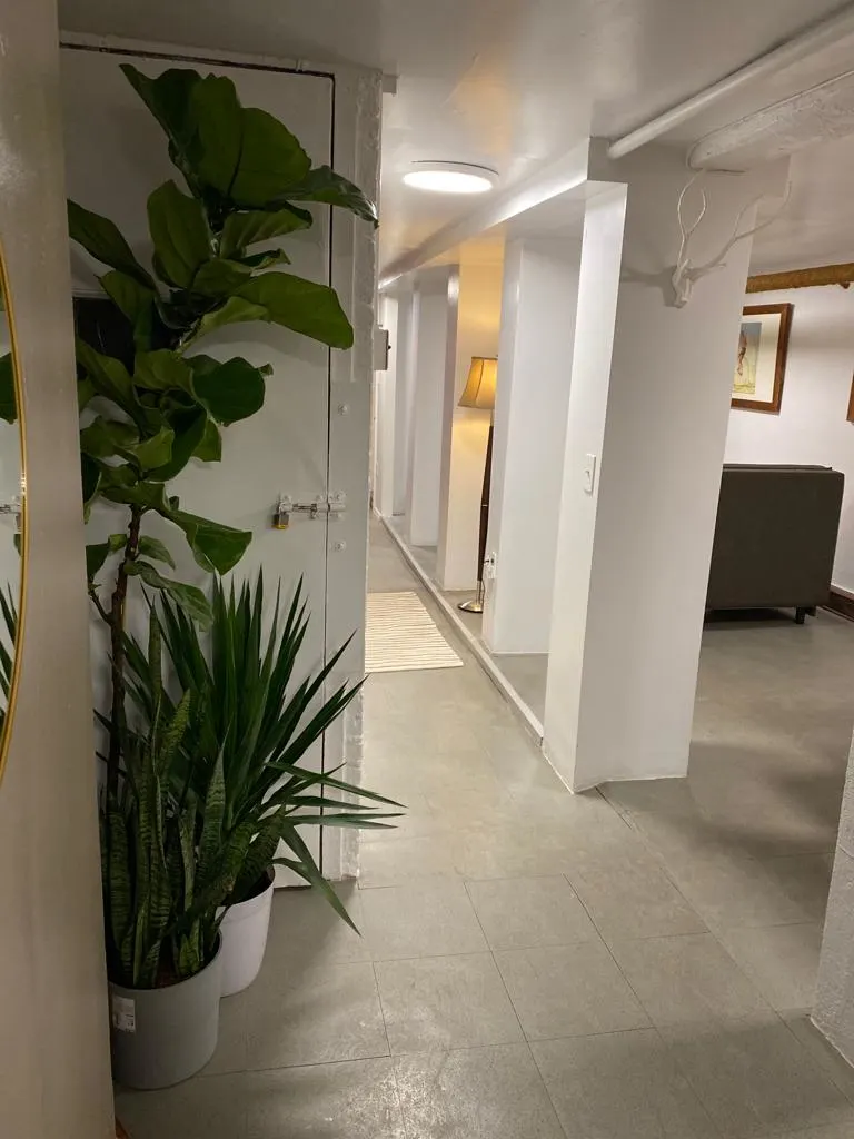 Hallway with plants and lighting.