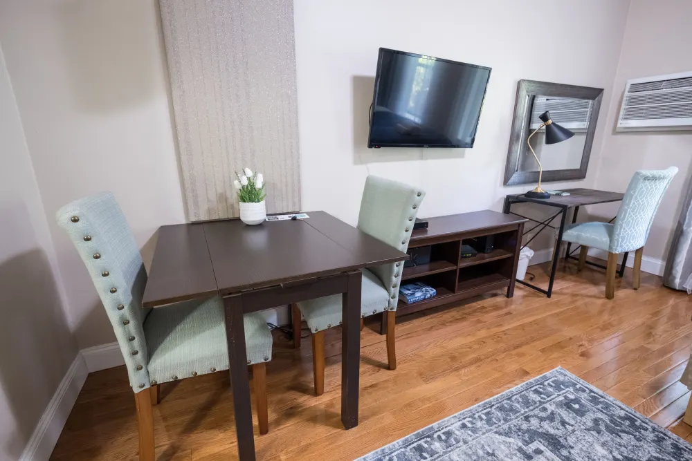 Modern studio with cozy furniture