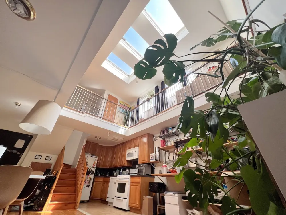 Sunlit duplex kitchen with plants