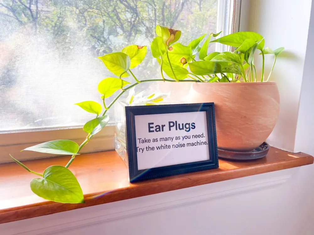 Sign and potted plant on windowsill.