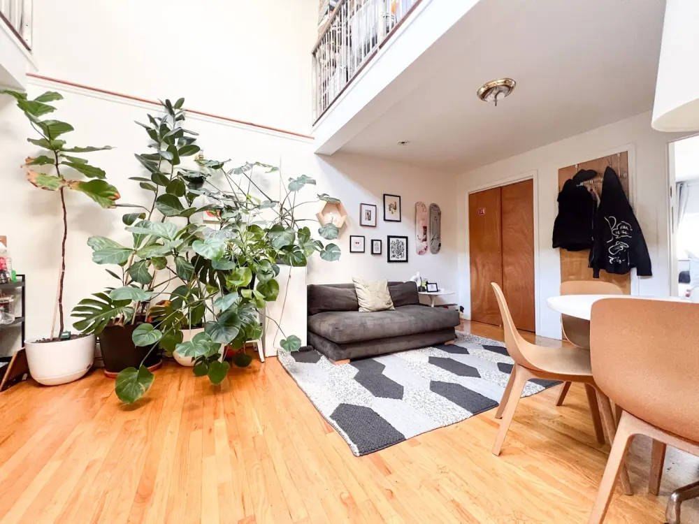 Bright, cozy living room with plants.