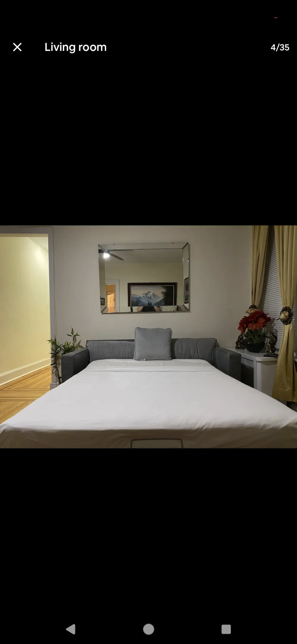 Living room with sofa bed.