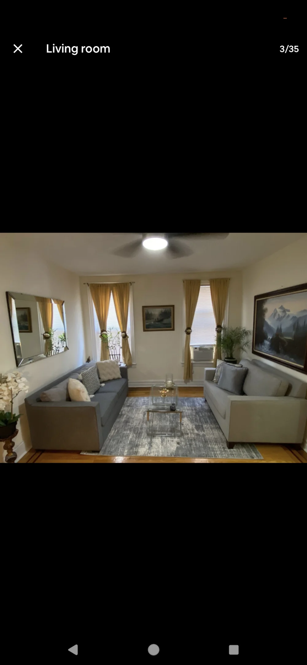 Cozy living room with sofas.