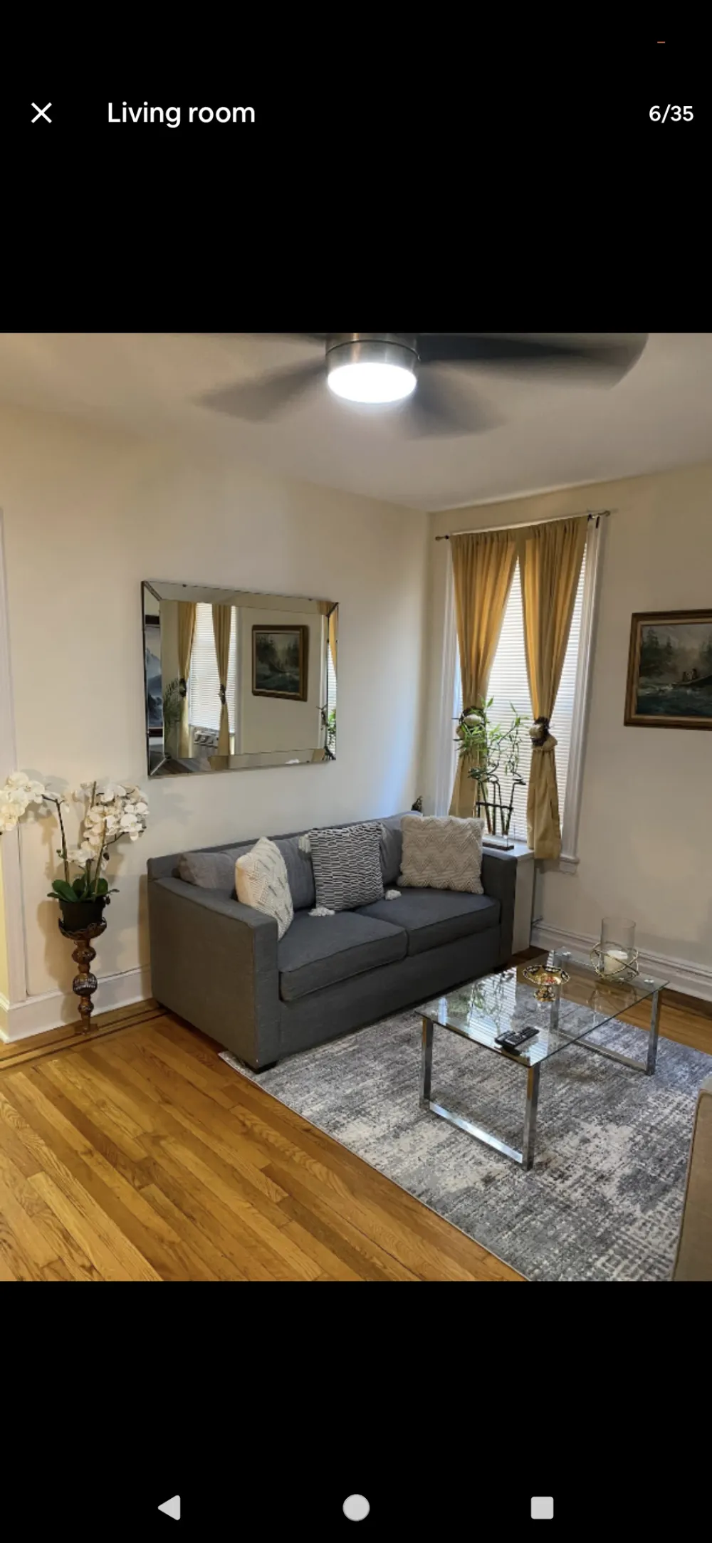 Cozy living room with sofa.