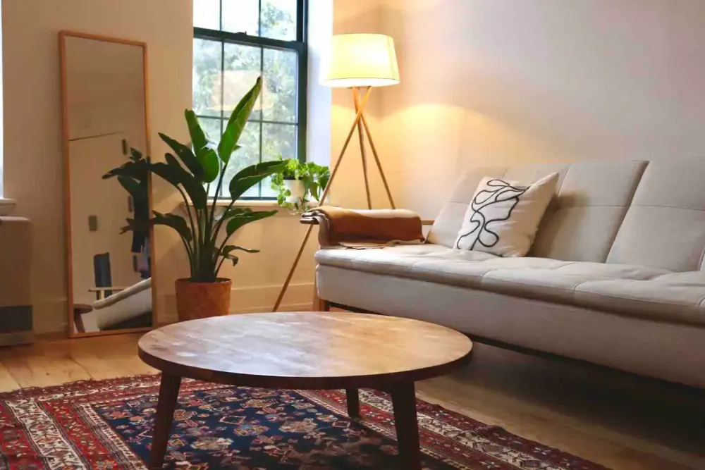 Cozy living room with plants.