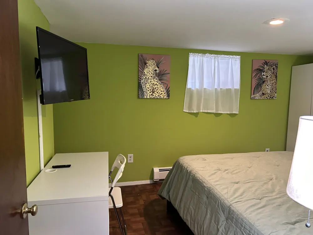 Bright green bedroom with cheetah paintings