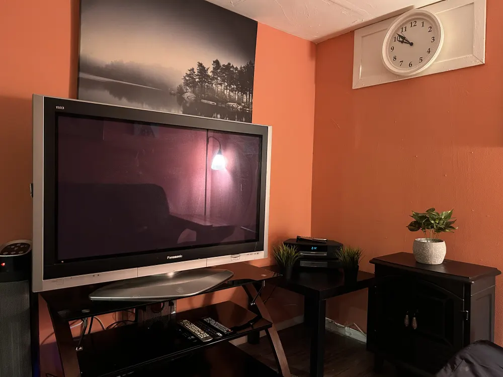 Cozy room with television setup.