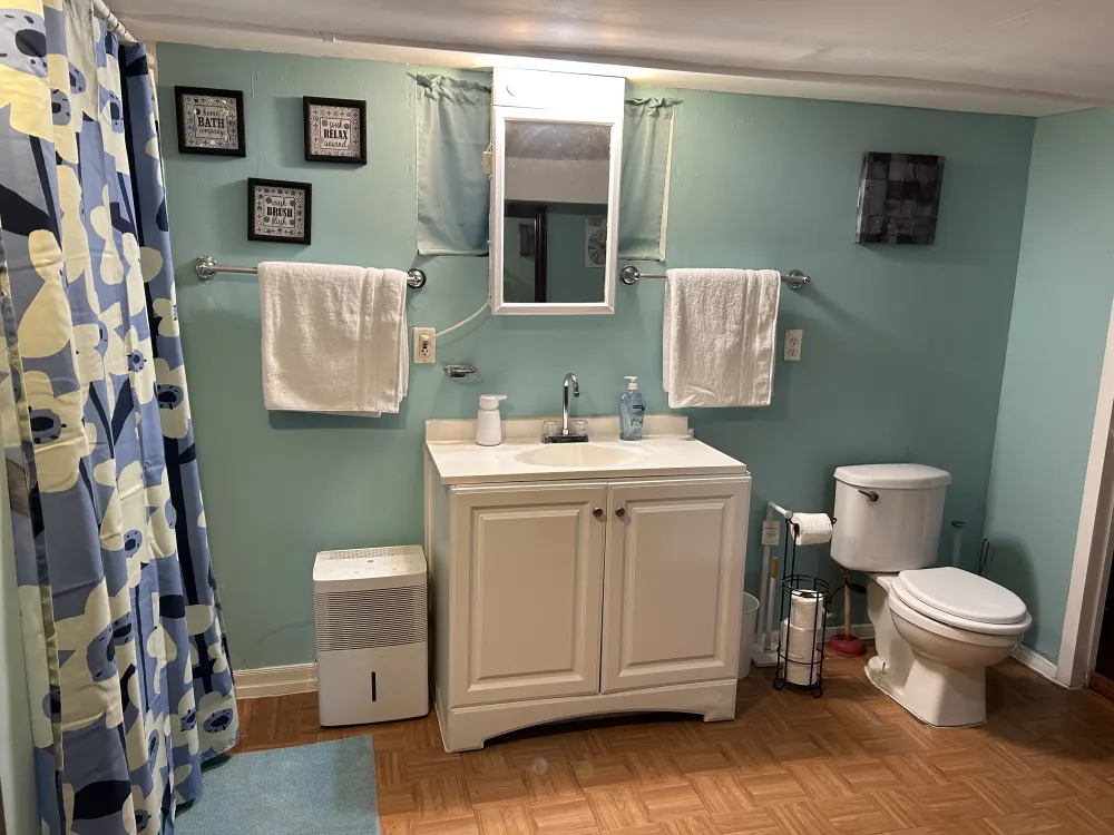 Bright bathroom with floral curtains.