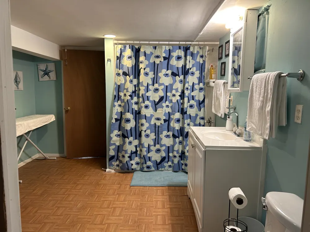 Cozy bathroom with floral decor.