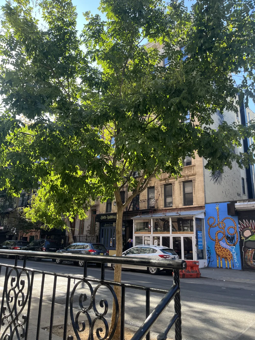 A charming vacation rental in NYC