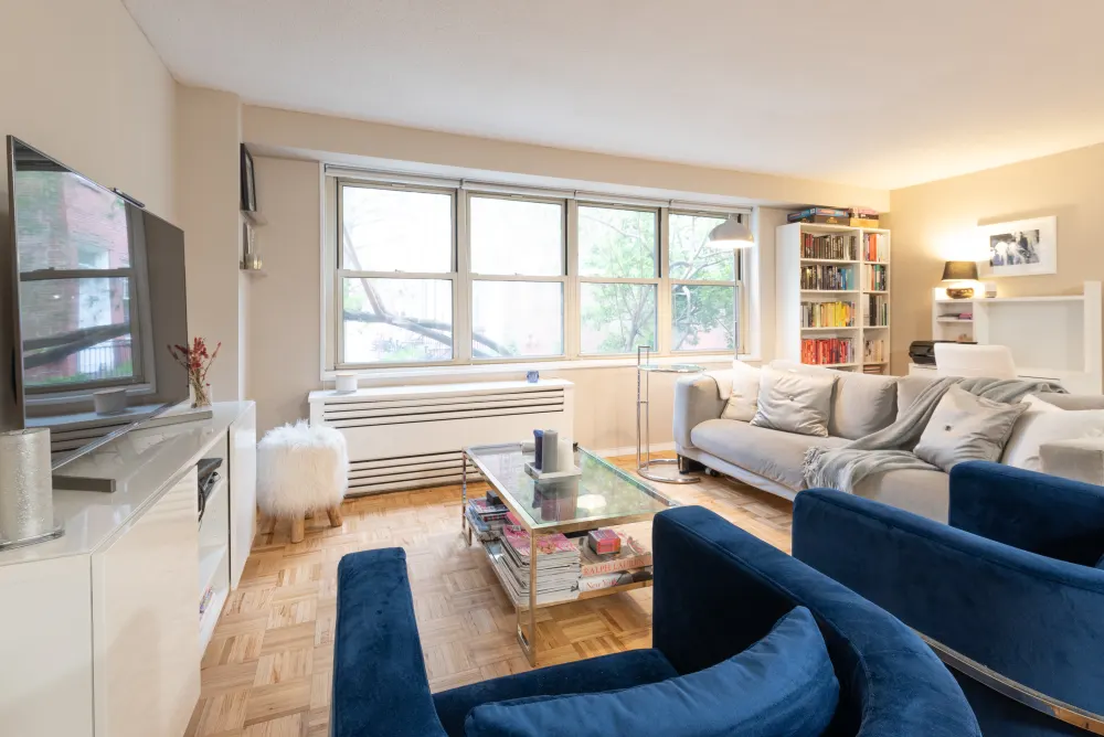 Cozy living room with bookshelves.