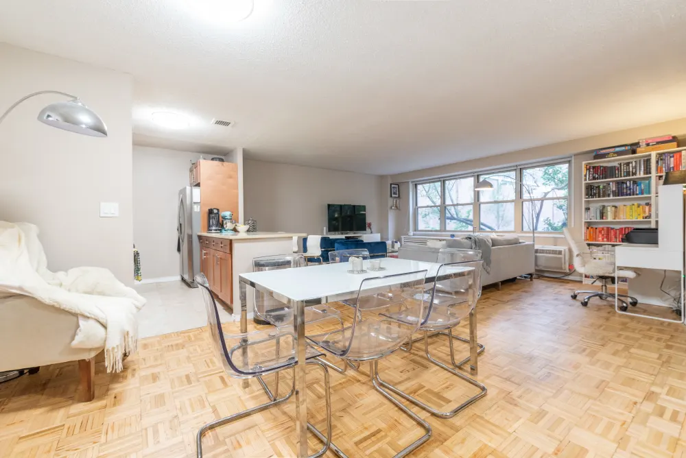 Bright, open-plan living and dining.