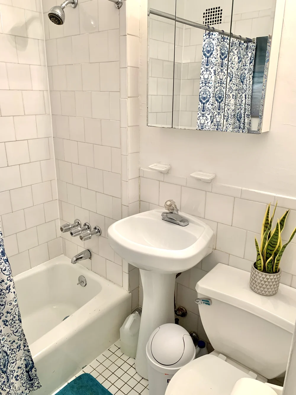 Small, clean bathroom with shower.