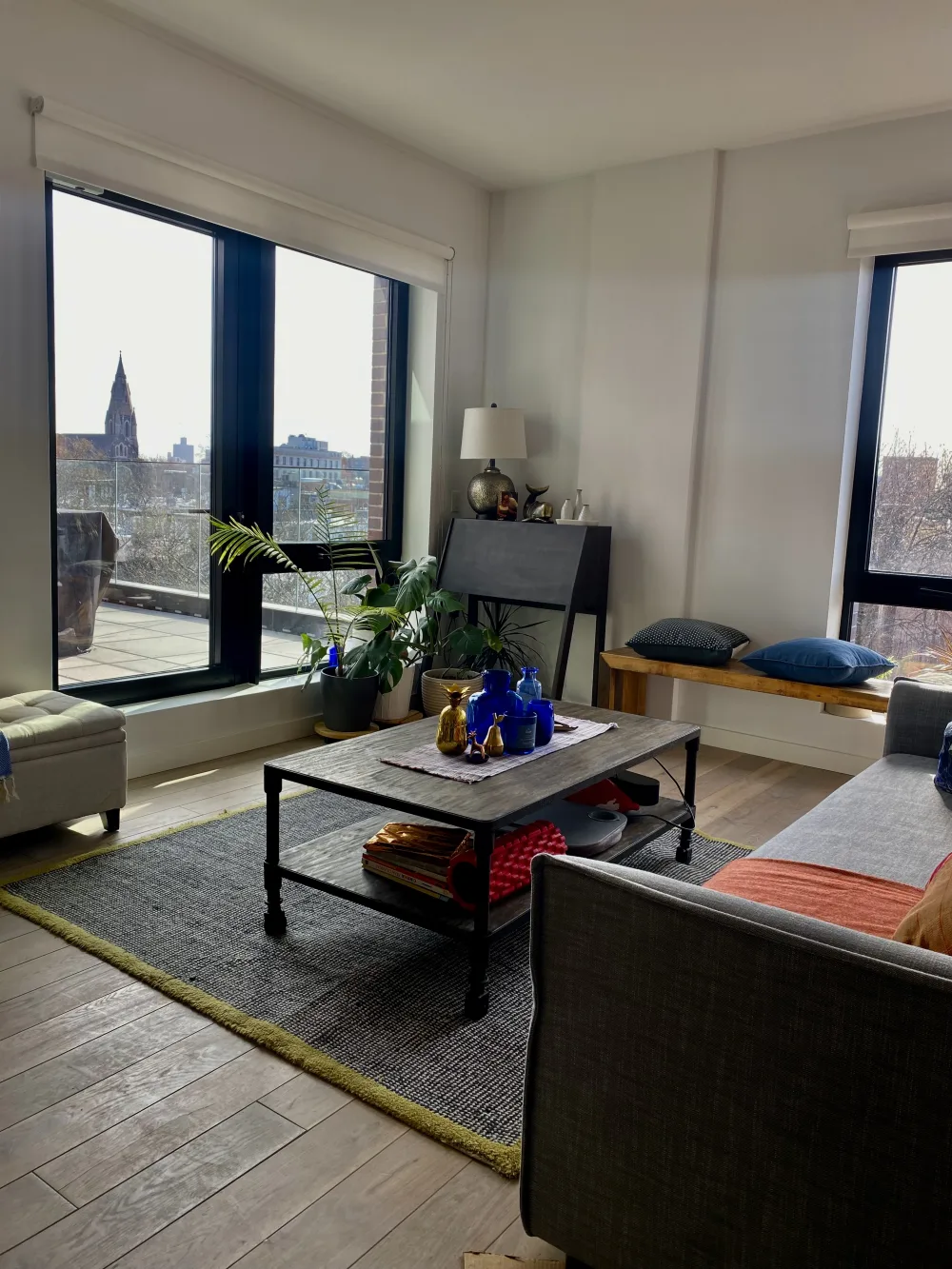 Cozy living area with plants.