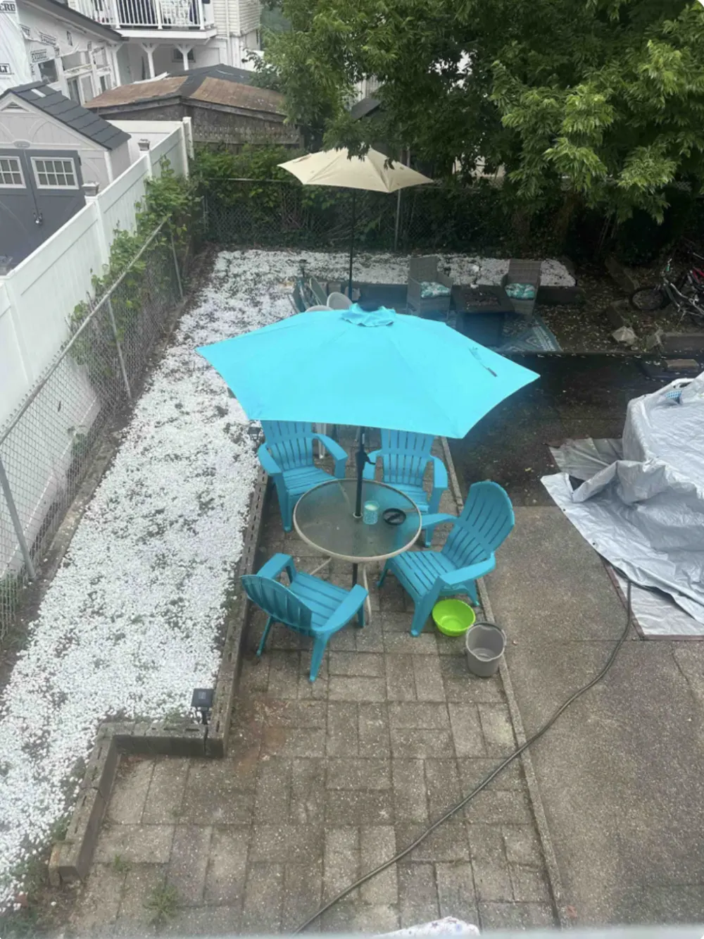 Backyard patio with blue chairs.