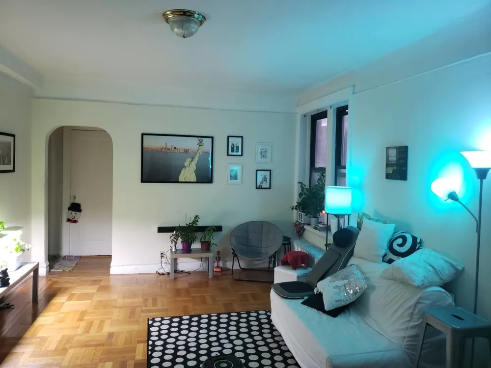 Cozy living room with plants.