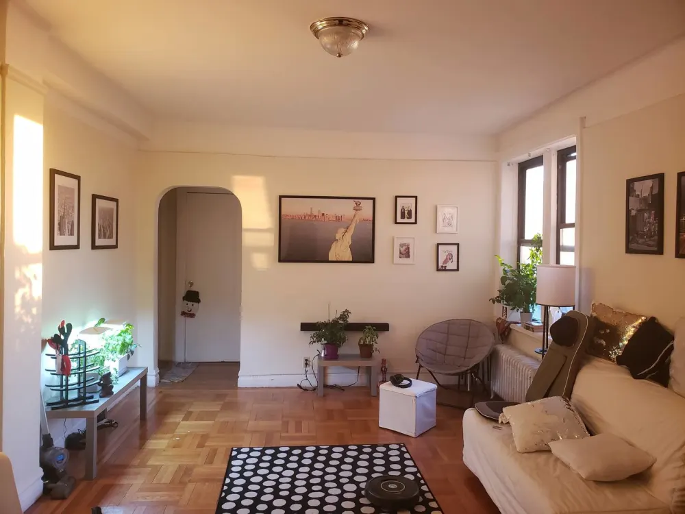 Bright, cozy living room with plants