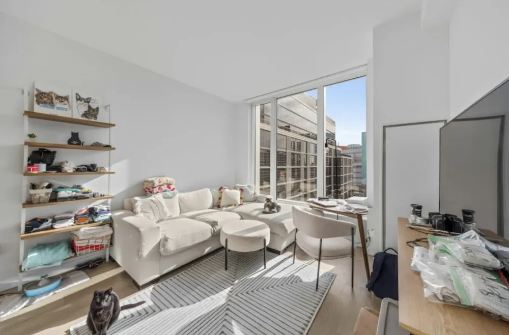 Bright modern living room view.