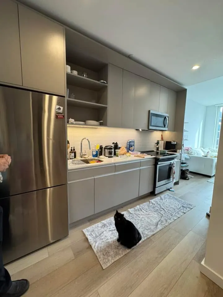 Modern kitchen with black cat.