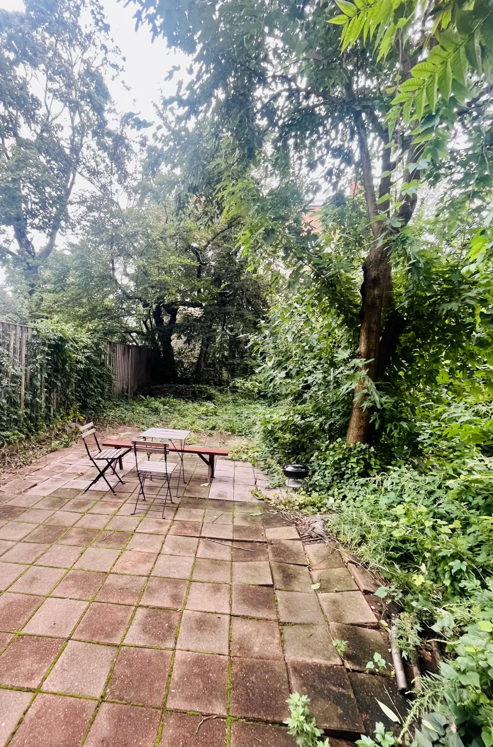 Leafy backyard with patio furniture.