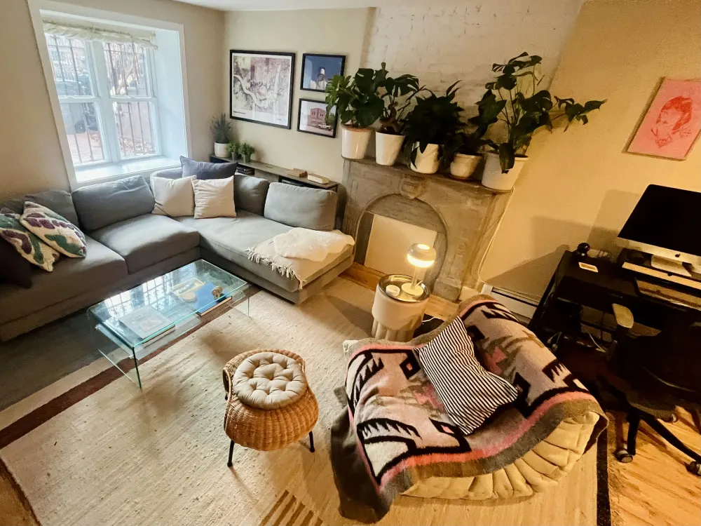 Cozy living room with plants.