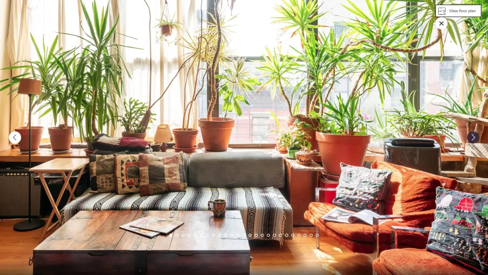 Cozy living room with indoor plants.