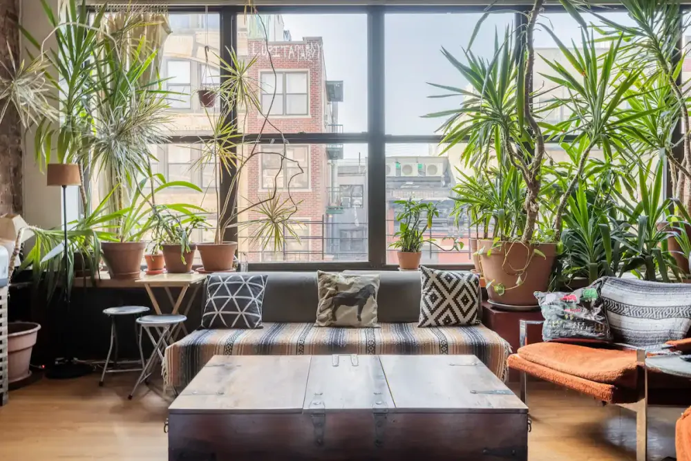 Bright apartment with lush plants.