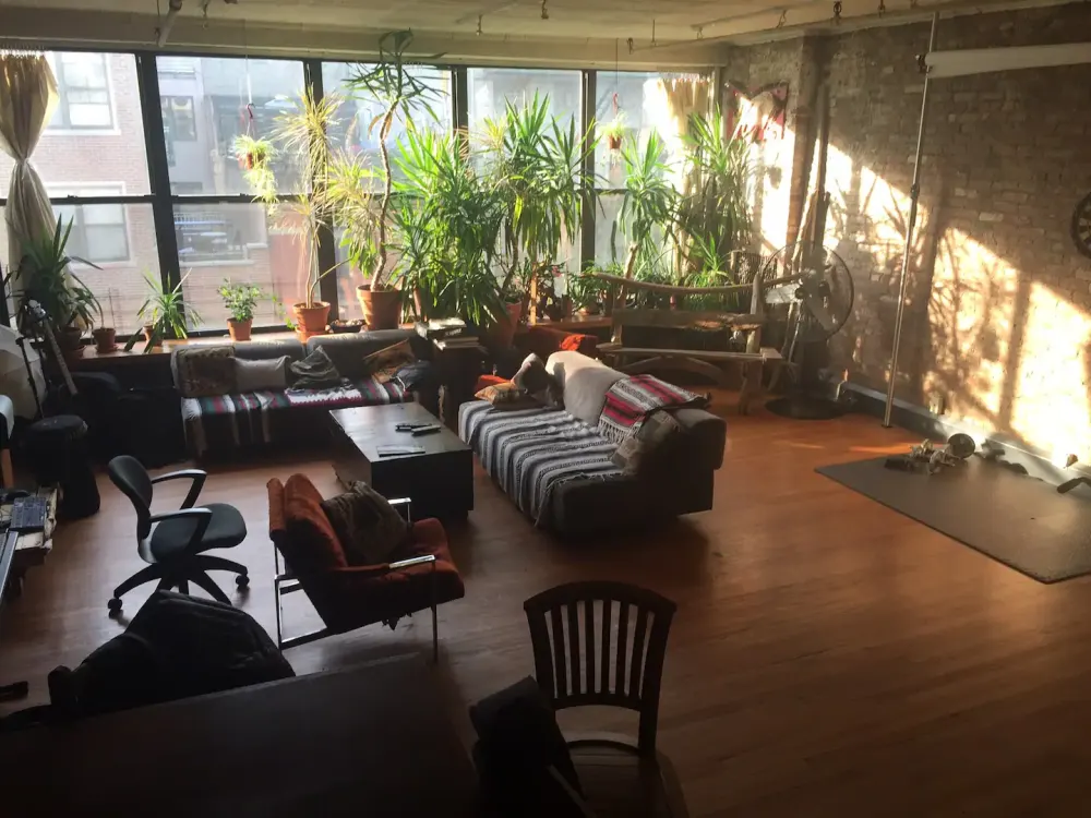 Cozy loft with ample greenery.