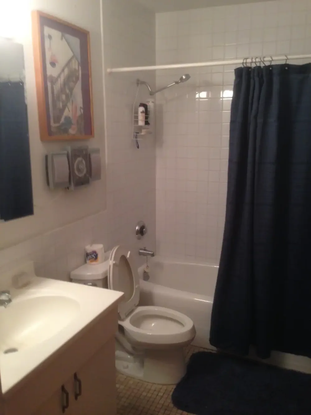 Bathroom with tub and shower curtain.