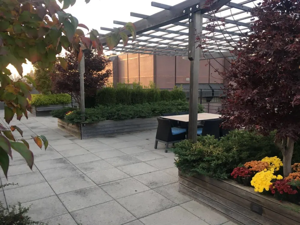 Rooftop patio with garden seating.