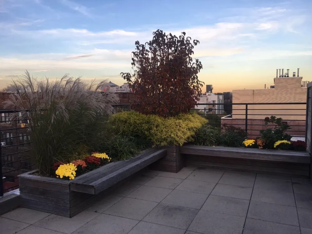 Rooftop garden with city view.