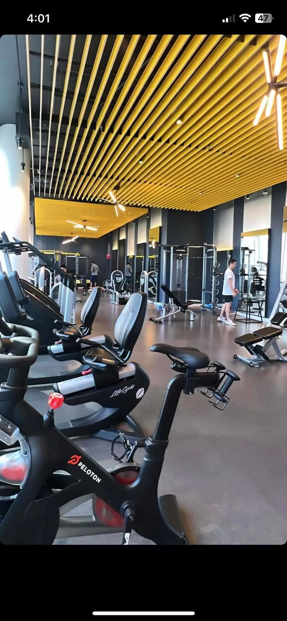 Modern gym with exercise bikes.