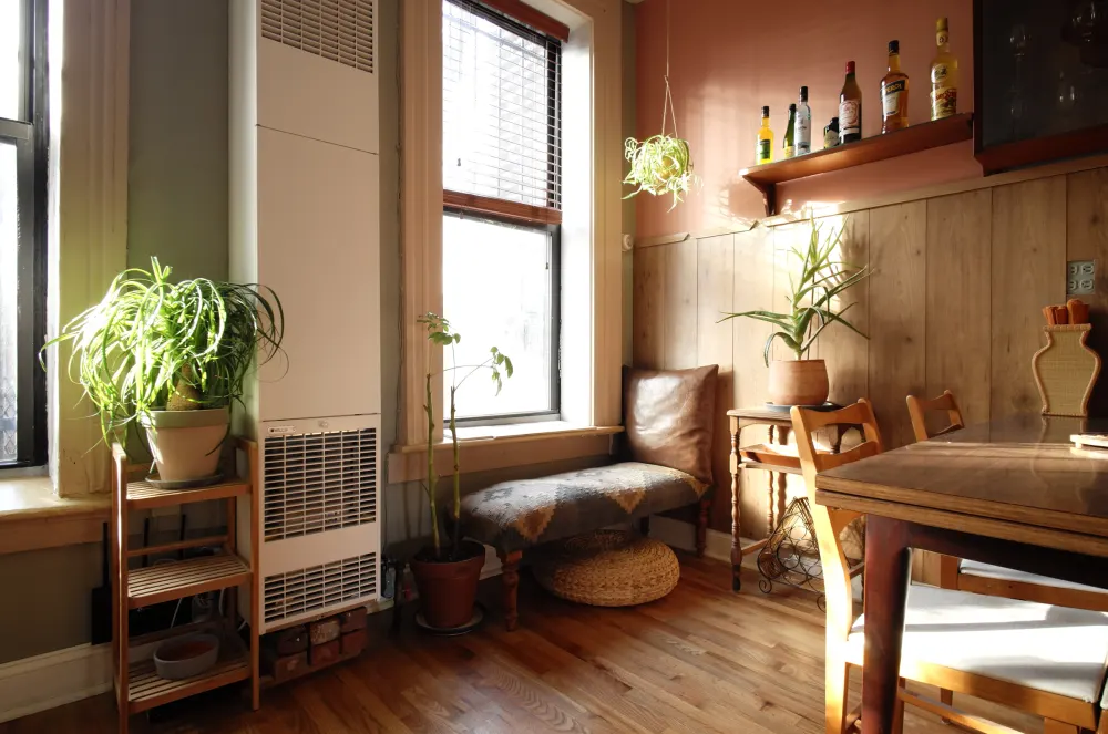 Cozy room with natural sunlight.