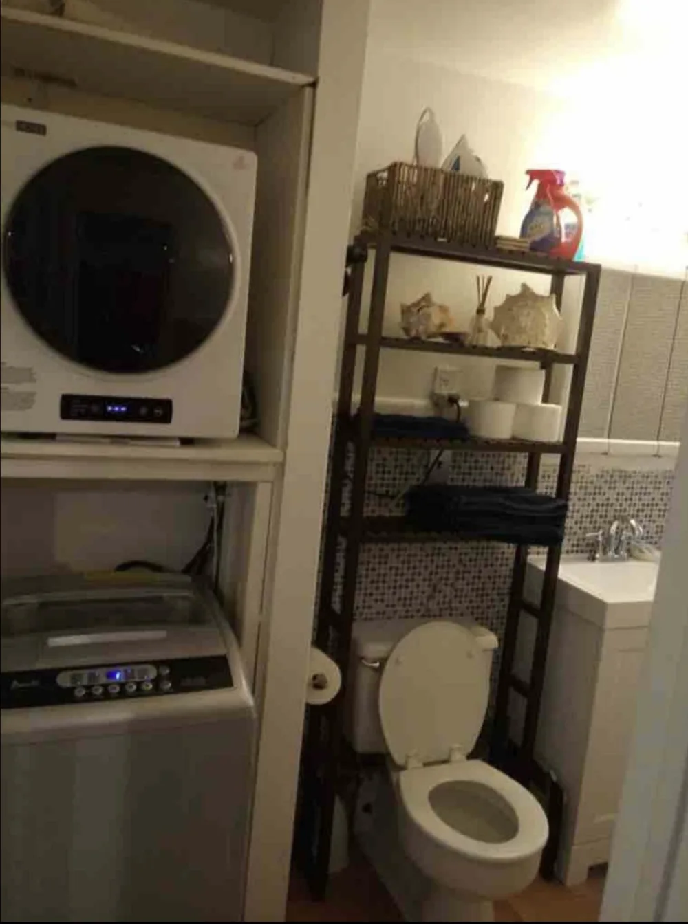 Laundry machines beside compact bathroom setup.