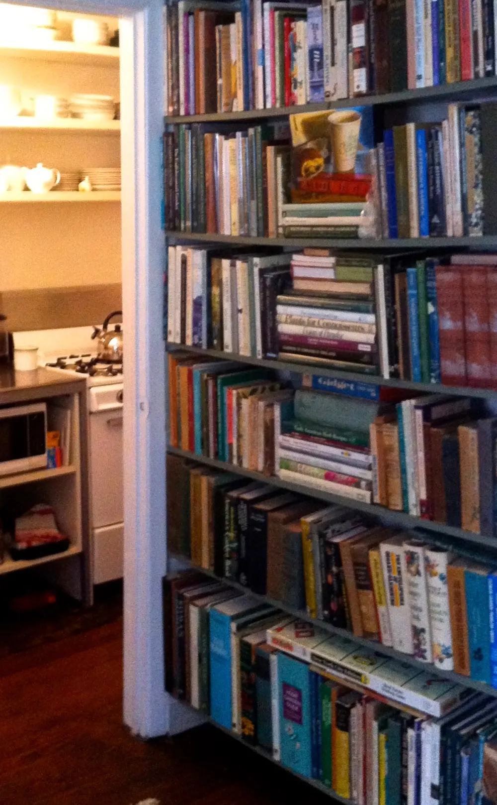 Books about New York history.