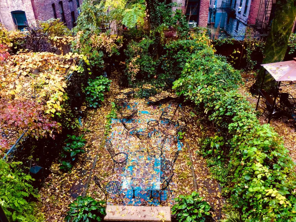 Cozy patio with leafy decor.