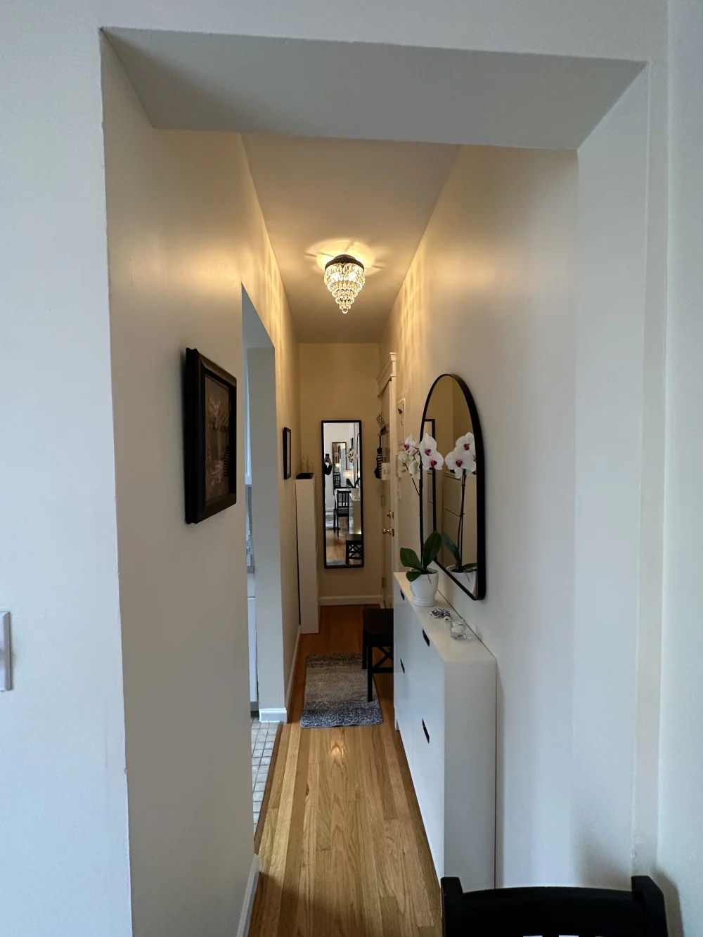 Narrow hallway with elegant decor.