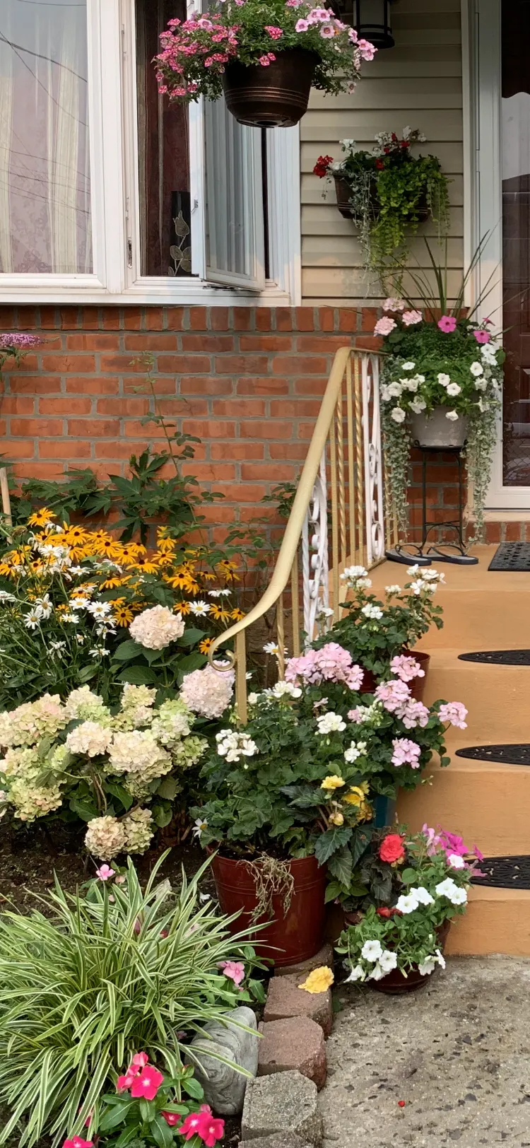 Potted flowers and green foliage.