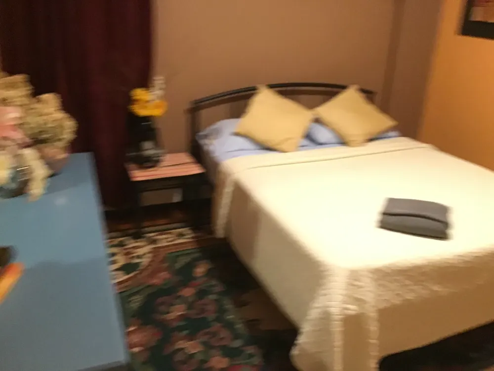 Cozy bedroom with double bed.