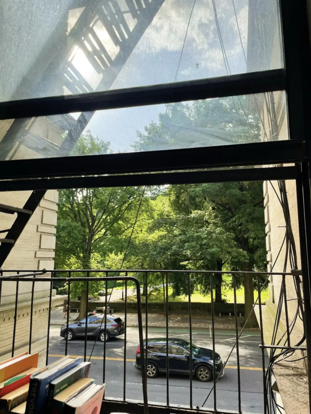 Open window view, street, park.