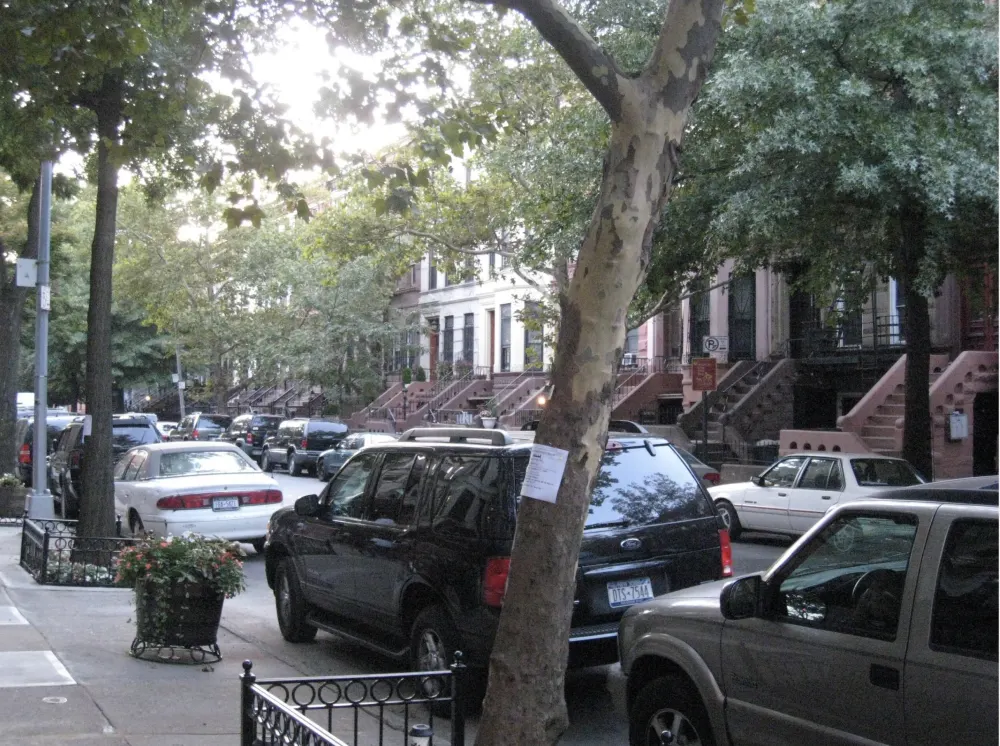 Tree-lined street with brownstones, cars.